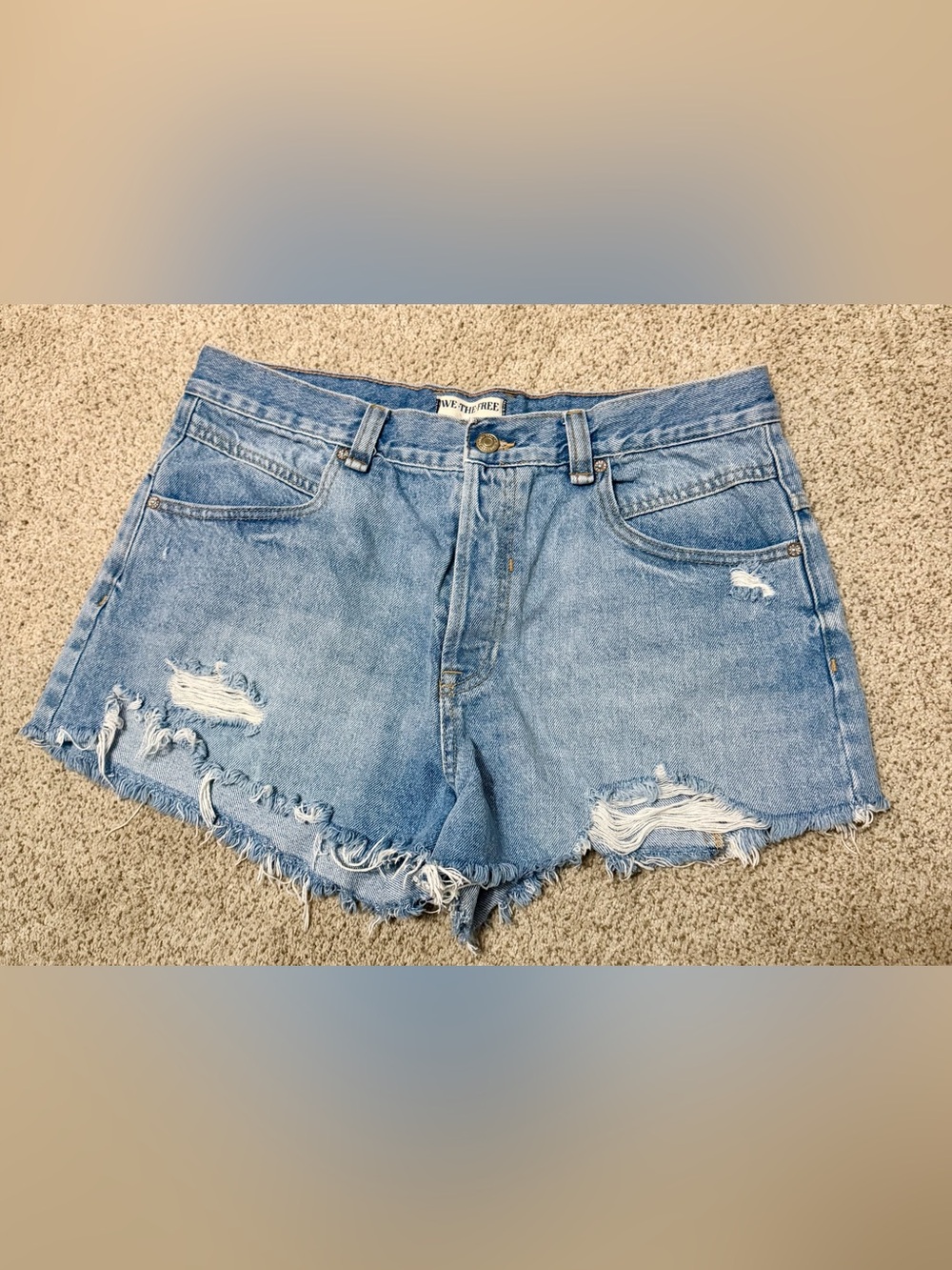 We The Free Denim Shorts